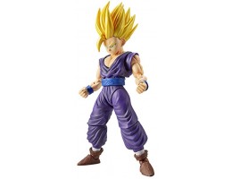 GOHAN
